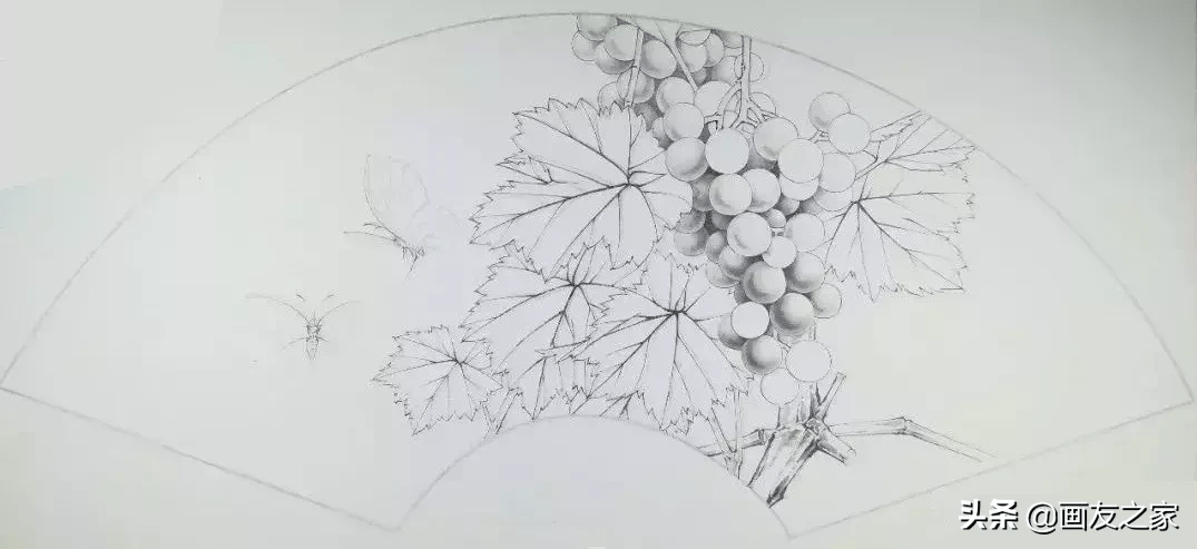 图文教程 | 工笔画扇面葡萄粉蝶《紫珠双蝶》设色示范步骤图文_叶子铺