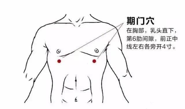 ②期门:在胸部,当乳头直下,第6肋间隙,前正中线旁开4寸