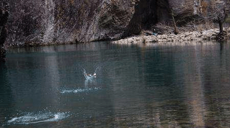 水漂 打水漂 9789cdc6b8944b7c897b0c4337348700.png