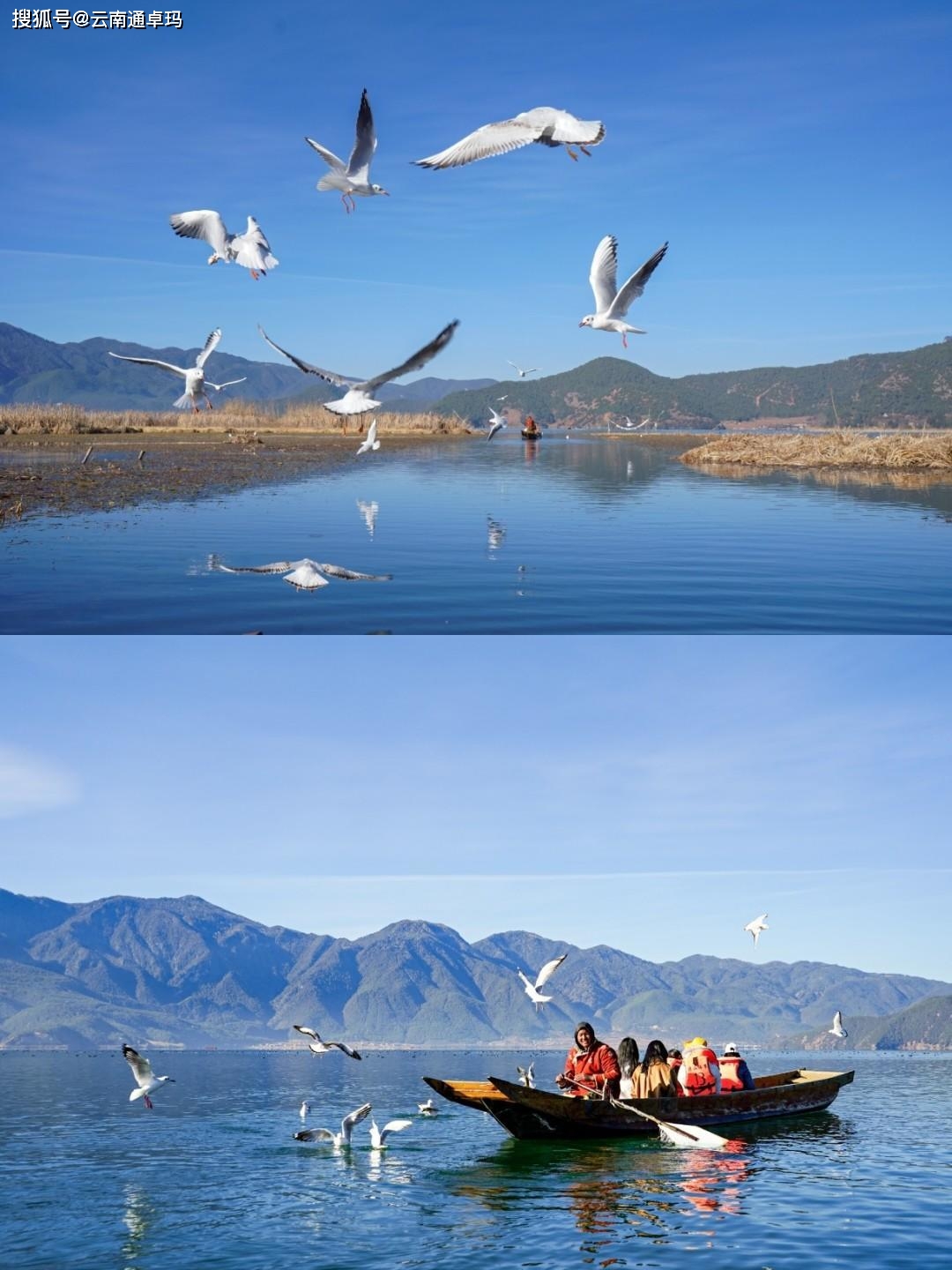 丽江泸沽湖最佳旅行路线，怎么玩最合适？自由行必收藏