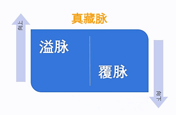 溢脉跟覆脉就是我们所谓的"真藏脉".
