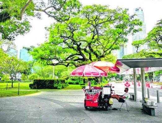 新加坡，全球著名的花园城市，探访承载着新加坡人集体回忆的那些树木