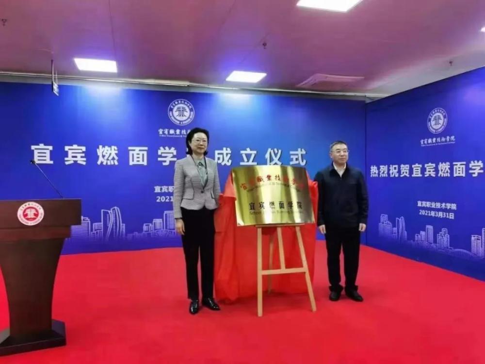 宜宾燃面排行_“宜宾燃面学院”揭牌成立后,各地“王牌美食”申请出战