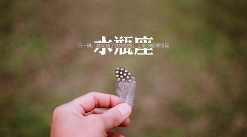 376ac3e6dcc24189a23aa39267649428.jpeg