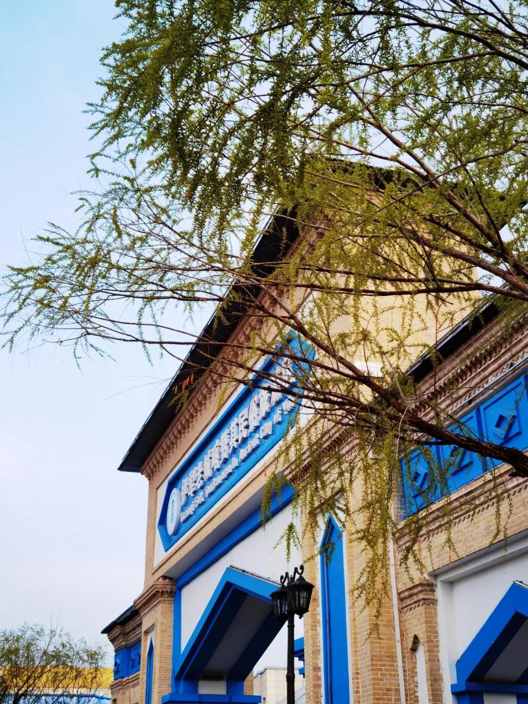 开往伊犁逐花之旅的列车 ——首发仪式在喀赞其民俗旅游区启动