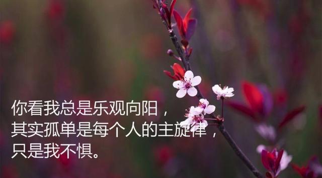 想着你睡不着简谱_想着你睡不着的图片
