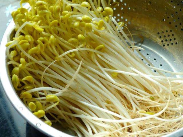 怎么长黄豆芽最快最好 024a39dcc8a9457fb911eb967caa1e93.jpeg