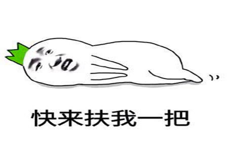 a1393be6648b458cbac9f948173ee1d2.jpeg