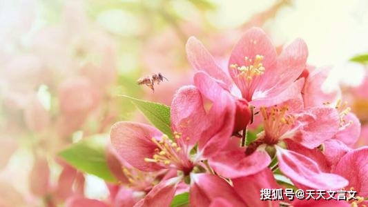 成语什么溢满_成语故事简笔画