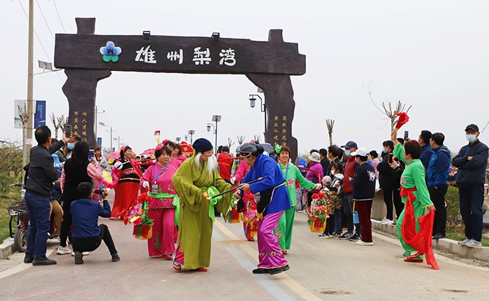 雄安雄州梨湾梨花游园会开幕