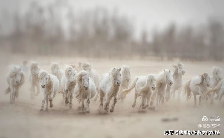 蔓什么成语_成语故事图片