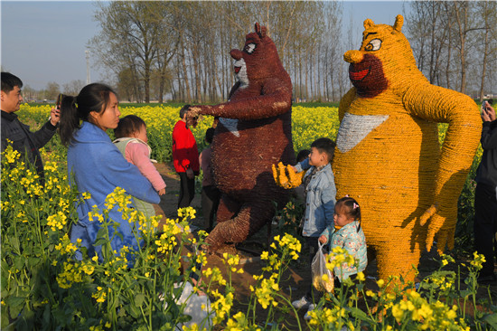 商水邓城油菜花海景美人多,将实行交通管制!_观光