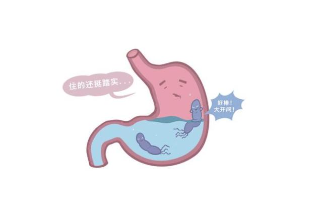 幽门螺杆菌 最怕 一种水 你若爱喝 冲走口臭 胃会 感激 你 螺旋杆菌
