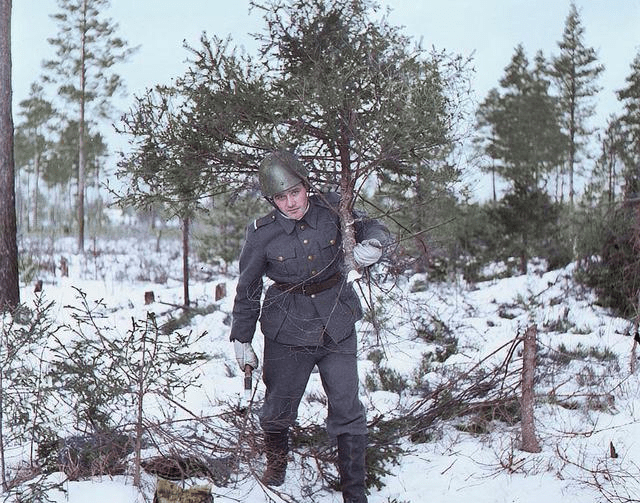 二战芬兰军装图片