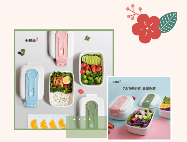 带上春日真空保鲜盒便当 感受不一样的春天 生活