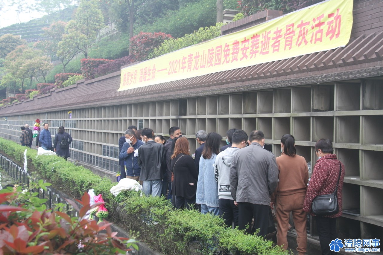 我們的節日清明節丨涪陵青龍山陵園開展清明祭掃系列活動