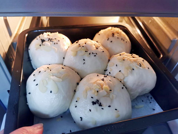 原创低油的地瓜餐包长势良好春游带上它倍有面子