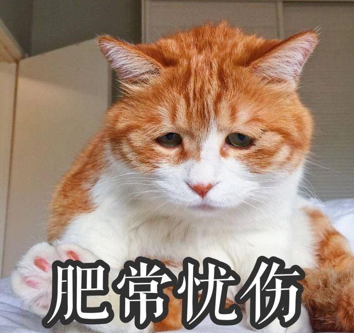 2e5d369db2e34006b805637359c5dc26.jpeg