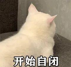 6de32cf0112940e18d560b9a5b94c78d.jpeg