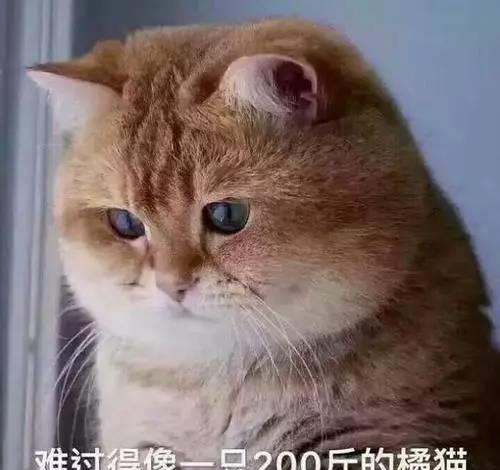 9718419943e846358b3f8be6ffc70581.jpeg