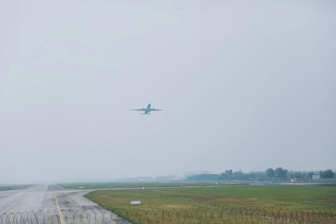 週末去哪兒丨空港運動公園vs空港花田兩個看飛機的地方誰勝出