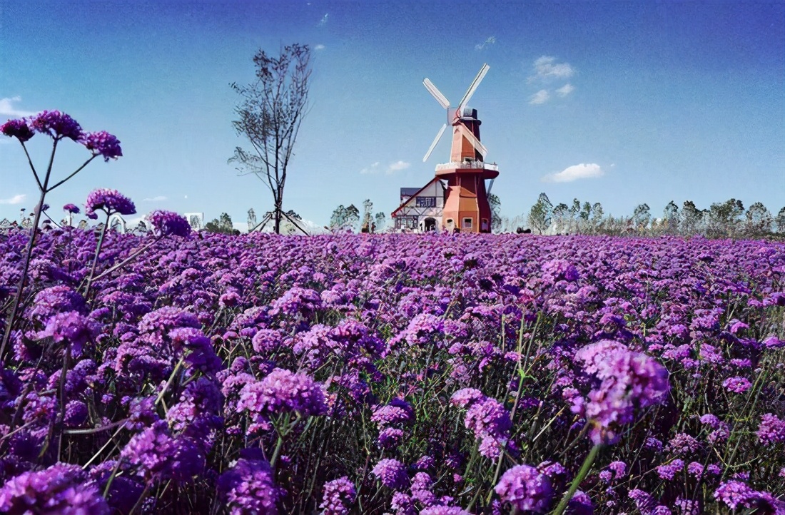 全球城市排行_227所中国大学入选世界大学第三方指数排行榜(2)