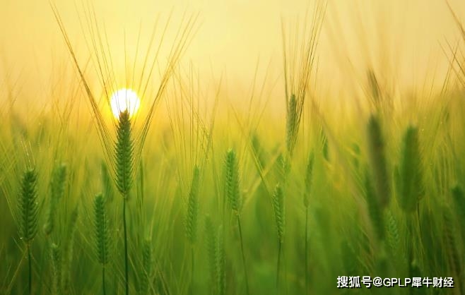 和邦生物2020年业绩降超九成 产品均价下降