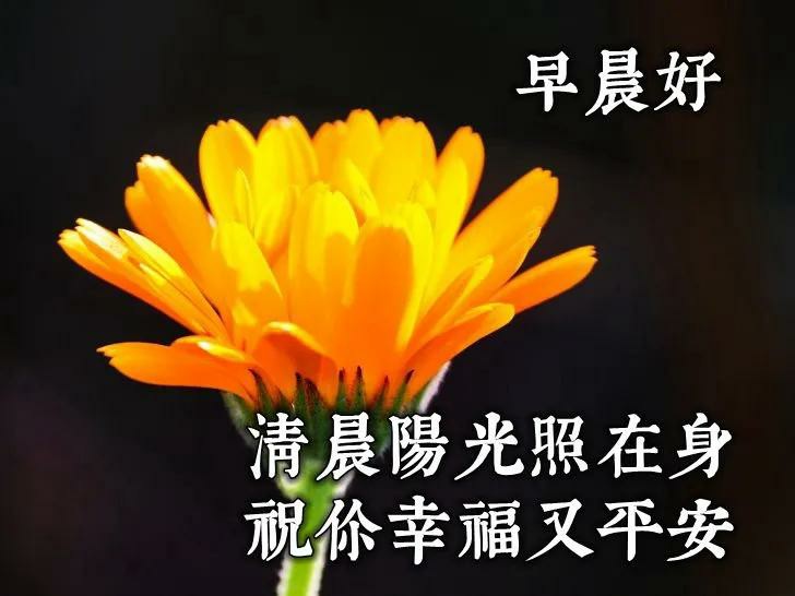 原创朋友圈全新早安暖心祝福图片带字2021年最美的早安祝福问候暖心