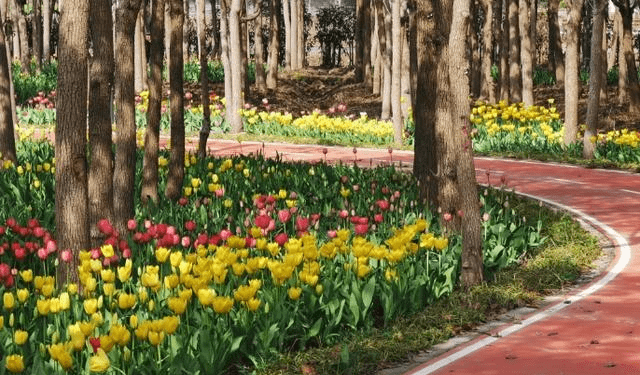 上海旅游春季11大公园活动大全上海周末好去处