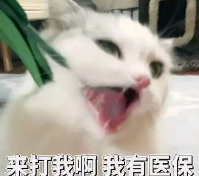 766cb78d6bfe4d65b38260750ac0a539.jpeg