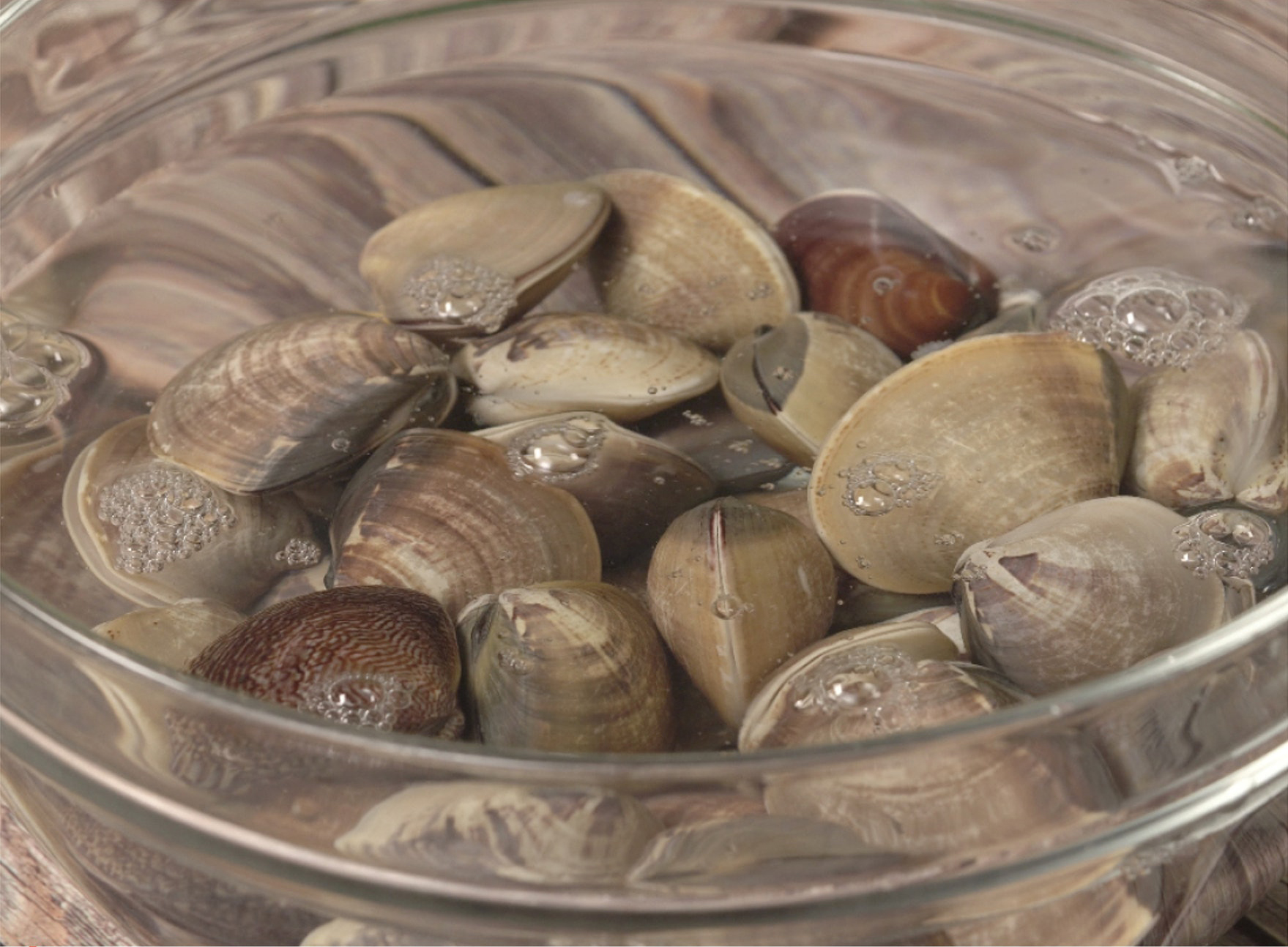 蚬食谱|胡椒萝卜煮大蚬辛香鲜甜温脾暖胃,白胡椒怎样处理才更香?_味道