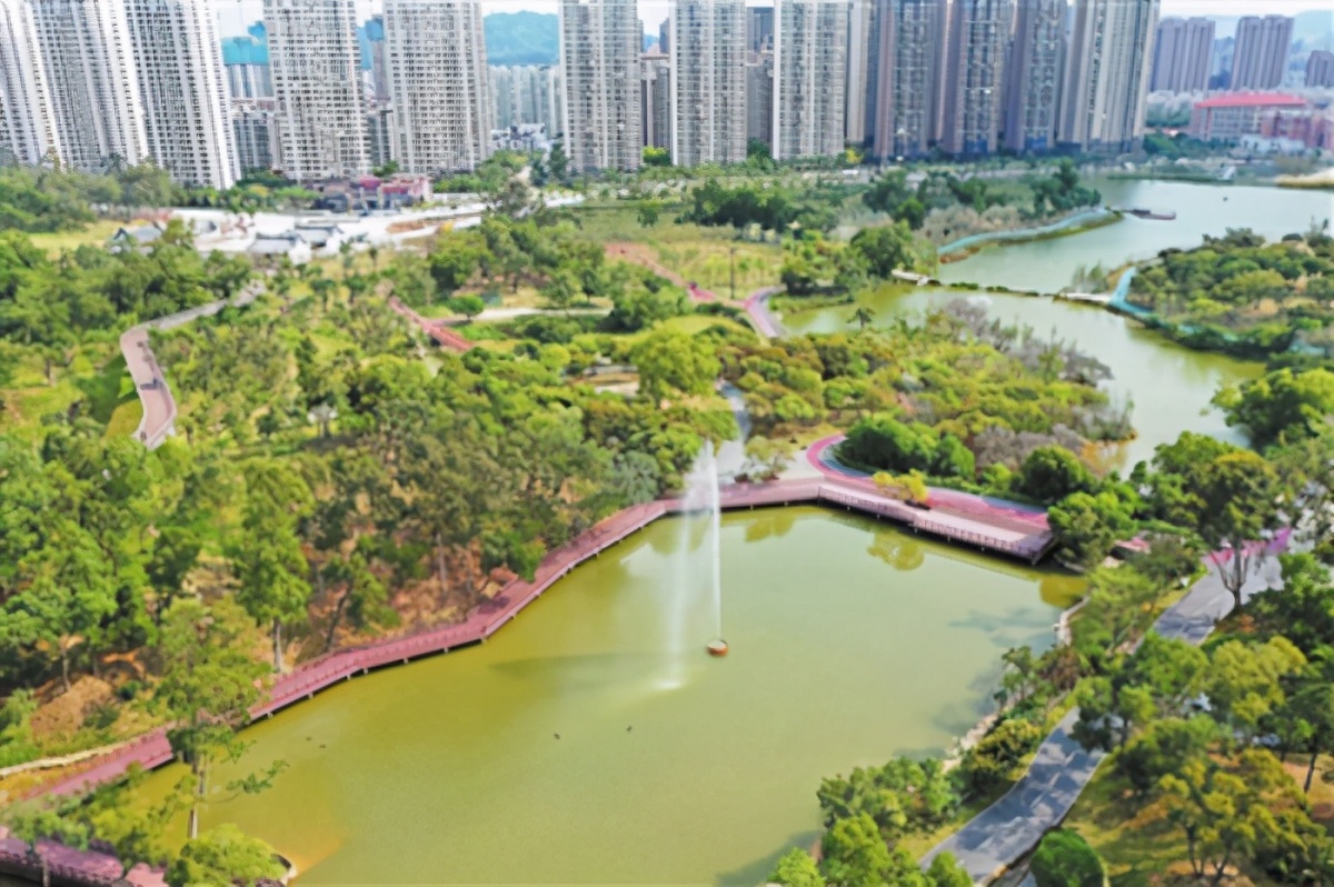 珠海两大网红公园提升市民幸福感获得感 打造宜居宜游“公园之城”