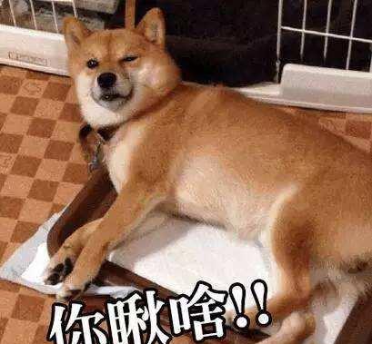 ac19eaa5ee894897bda616d36018629a.jpeg