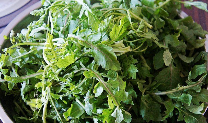 很多人不知道它叫"净肠草",包馅特清香,常食能排除体内垃圾_荠菜