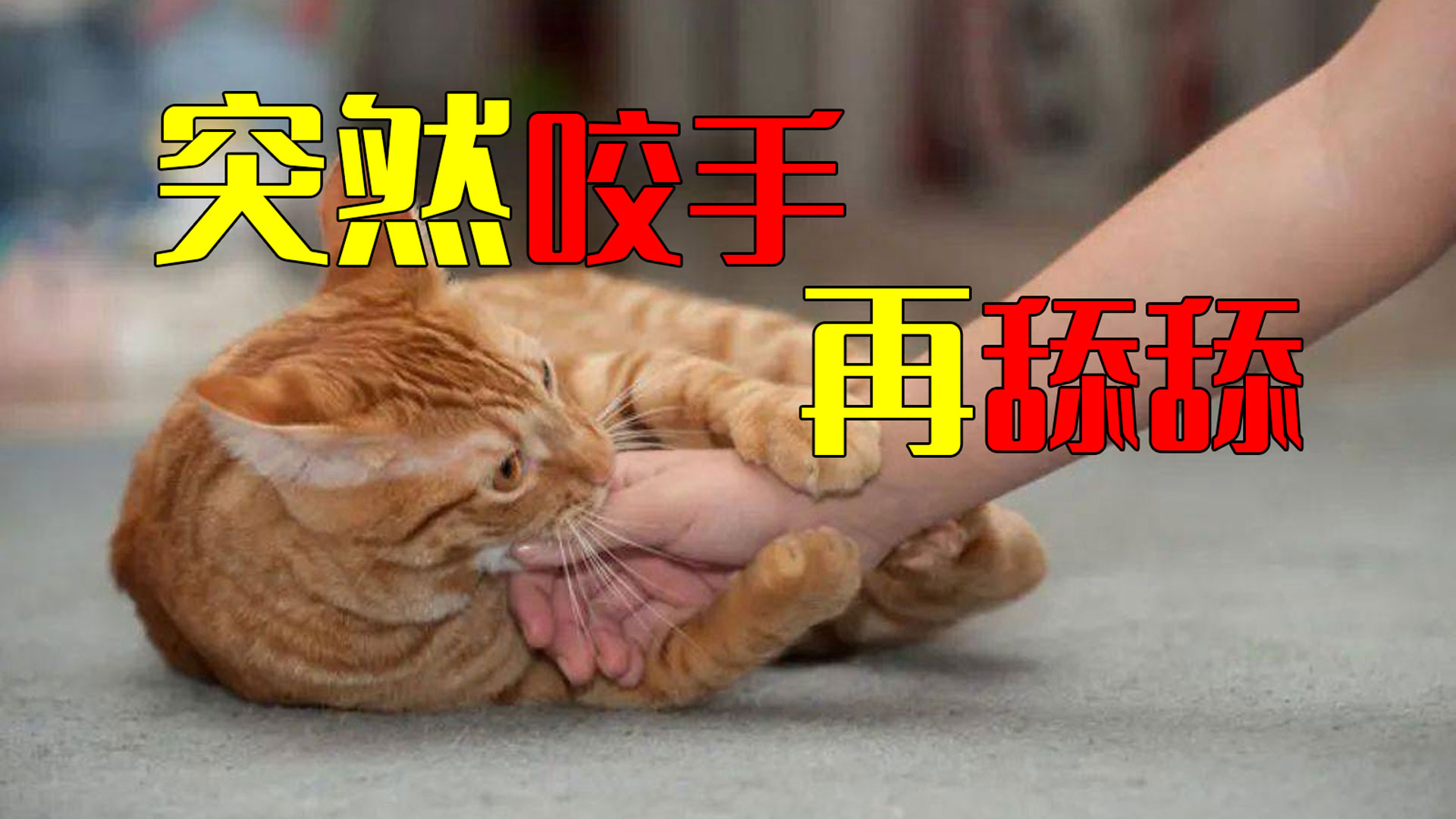 b57eb769b7c243e39b484629f3ebddf2.jpeg