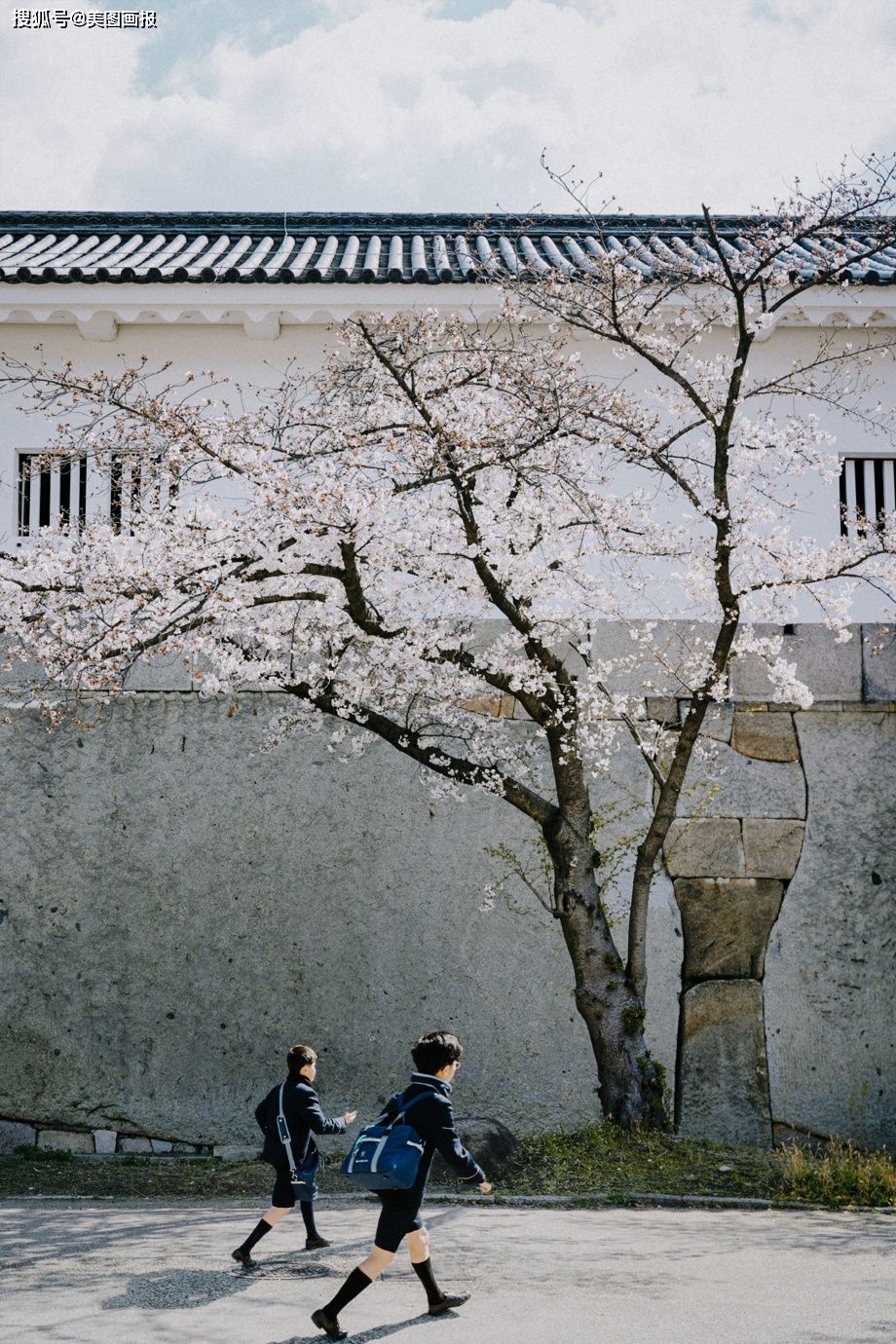 去春天的京都 摄影师 fuji藤井树