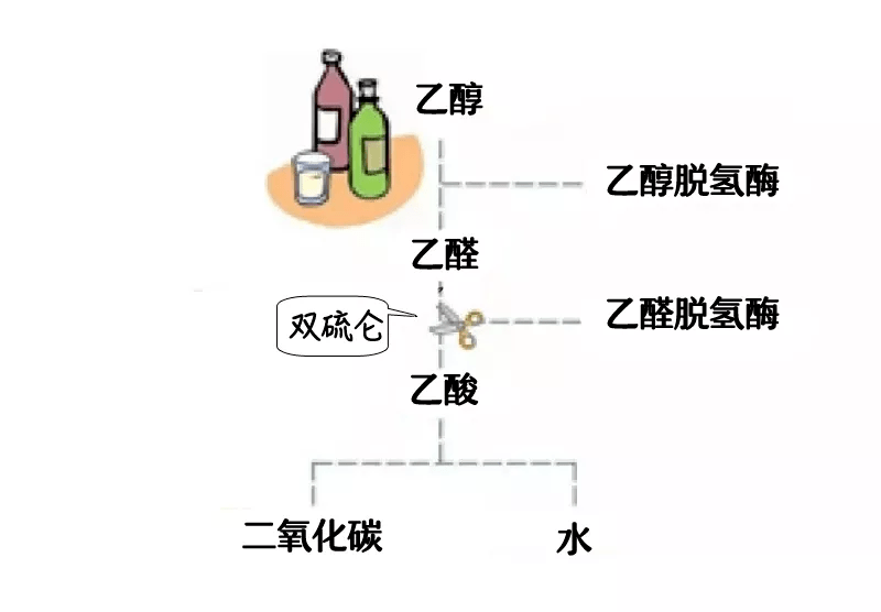 千万要记住吃了这些之后别喝酒