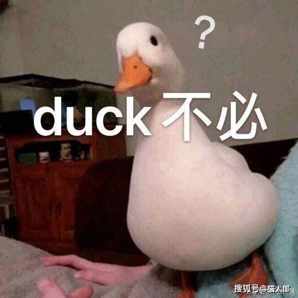 ae5e375b910046c8ab96204d80b5dd3e.jpeg