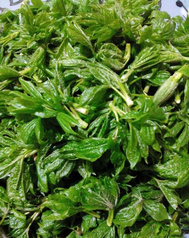 刺骨棒蘸酱,清爽又美味.