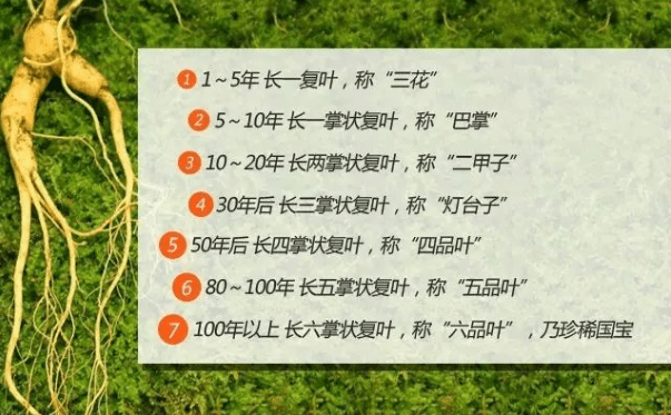 d7b5c6c88f30408d883901c842624b57.png