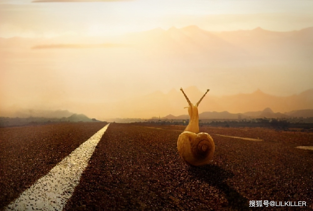 46ab95ec38a04928b7a745e1955b65e4.jpeg