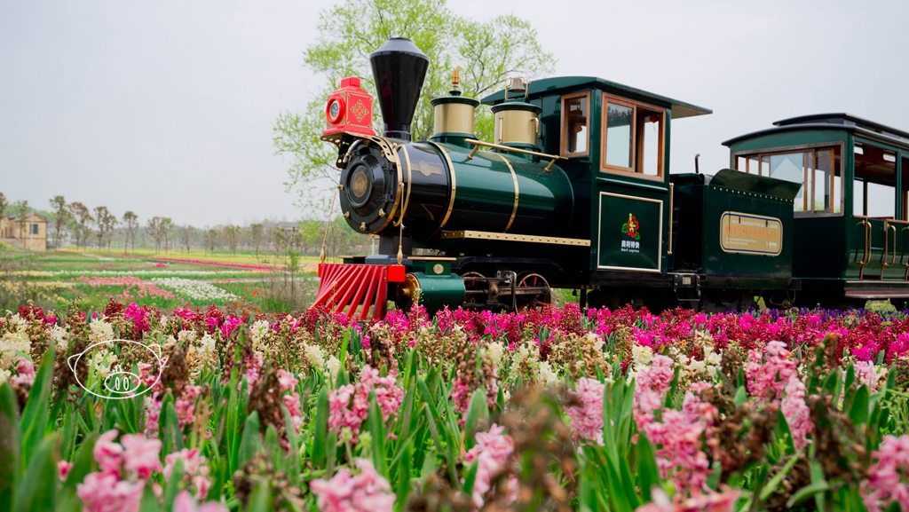 武汉|乘坐开往春天的小火车,穿梭于木兰花乡的七彩花海中_手机搜狐网