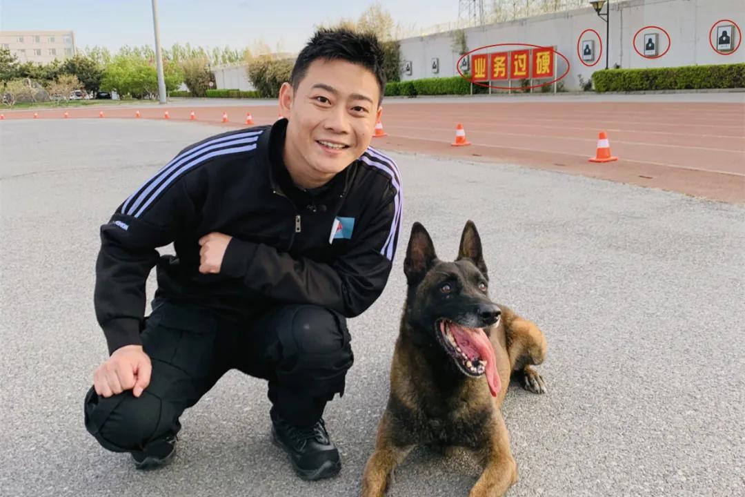 德云社栾云平与警犬合影,引发网友热议,这副总的综艺就是不一样_手机