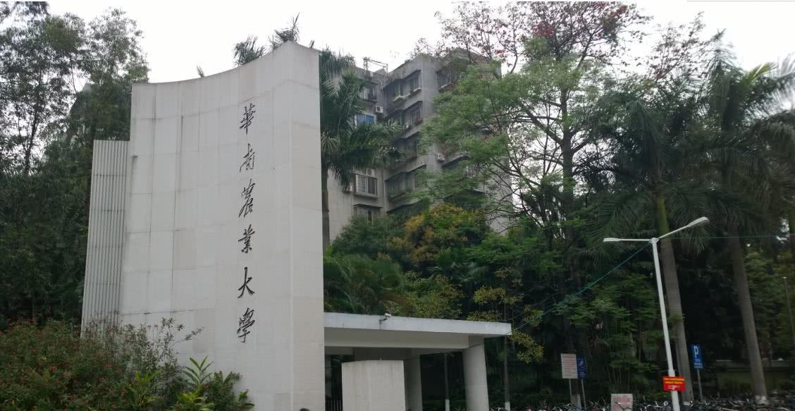 一本大学排行榜_这11所一本大学很有特色,业内名声很好,毕业生就业优势