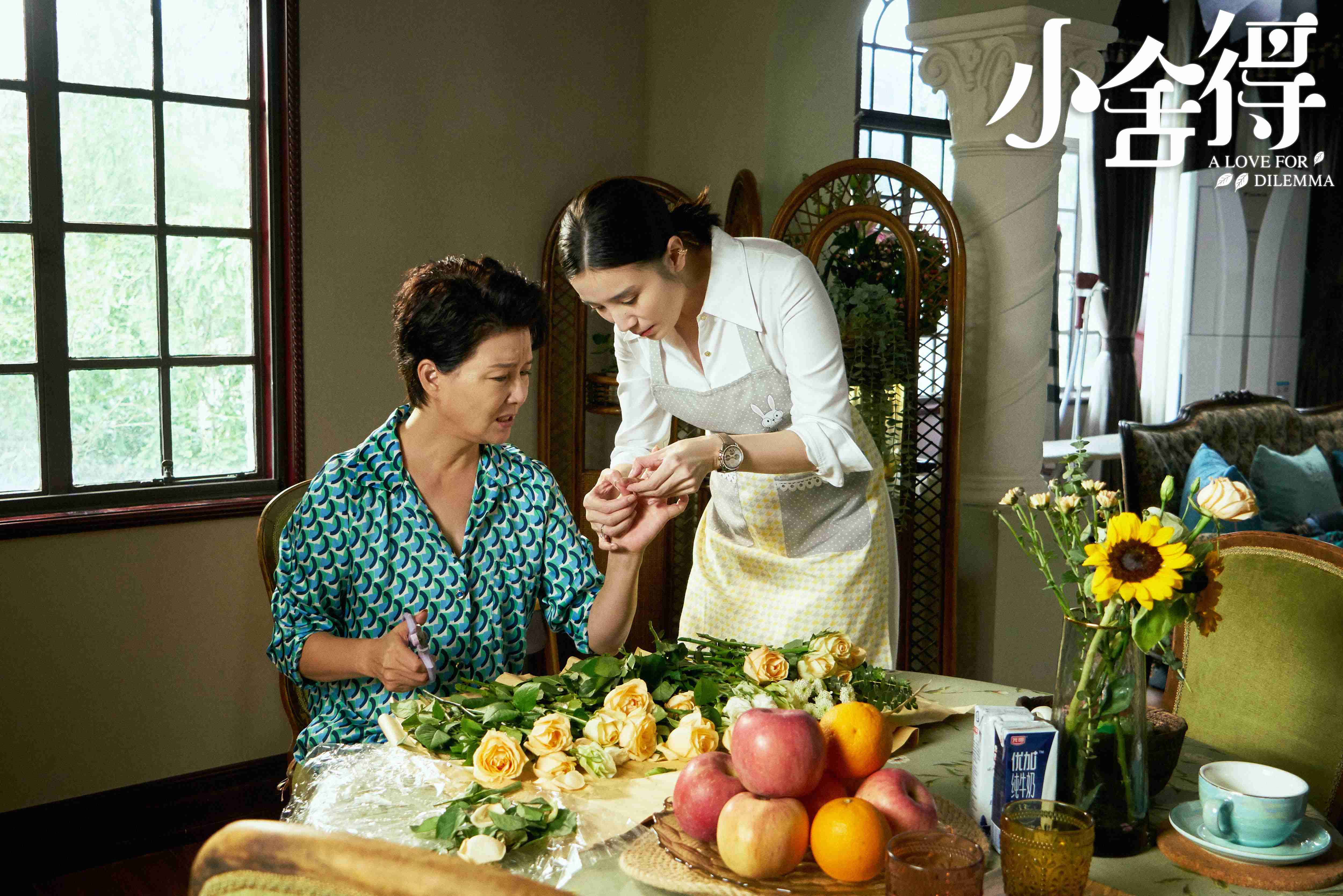 小舍得家庭大战升级教育观点对撞引爆全网