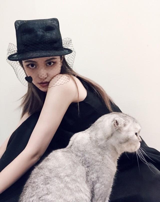 周扬青呼吁不养折耳猫 网友：满满正能量。