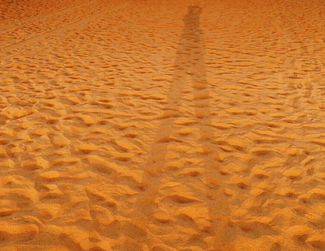 沙漠旅行时，迷路了为何不能直走？“骆驼客”给出了原因！