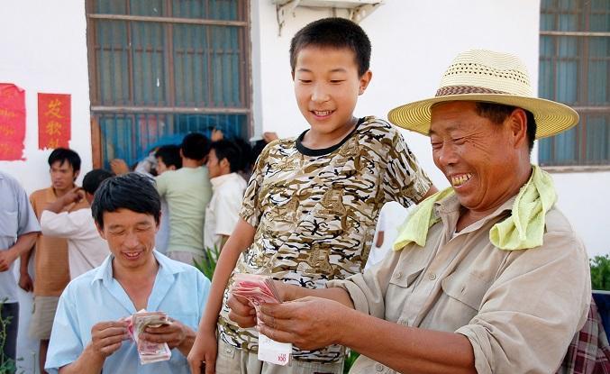 农村人口粮食补贴政策_农村粮食补贴本图片