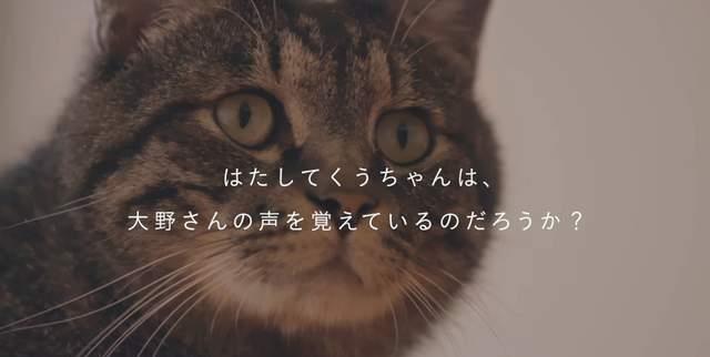 3525b196dad844d8bbccfd961ed087c9.jpeg