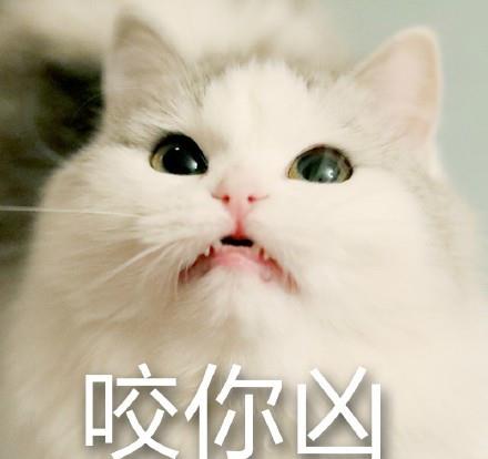 猪吃饭叫声 557a776b7fa246d2a1fa3235b7ea2e33.jpeg